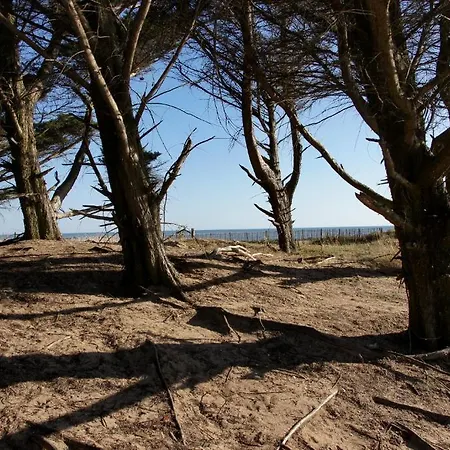 אתר קמפינג La Foret סן ז'אן דה מון