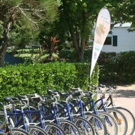 Campingplads La Foret 4*