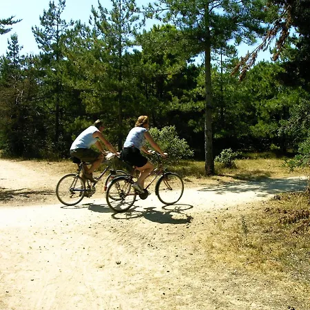 La Foret