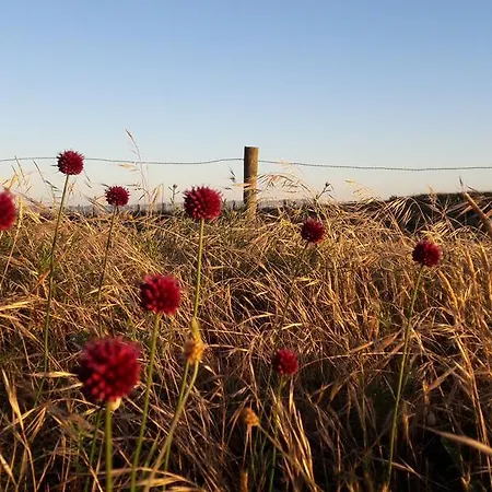 营地 法特露营酒店 圣让-德蒙