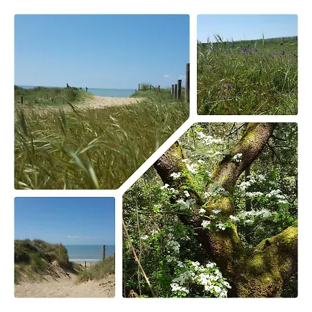 La Forêt