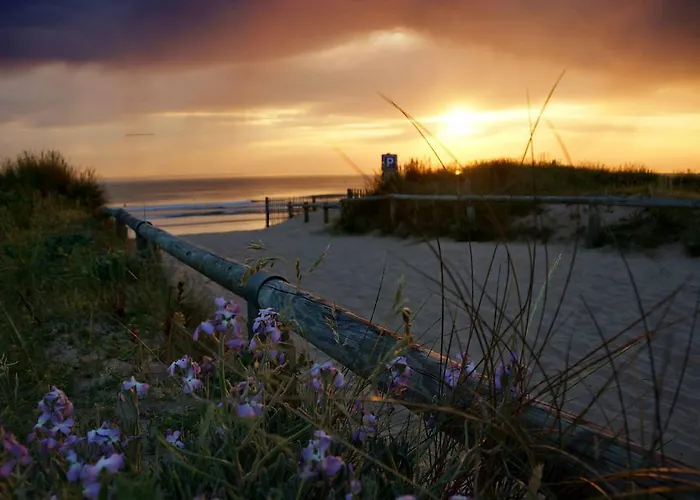 La Foret Saint-Jean-de-Monts