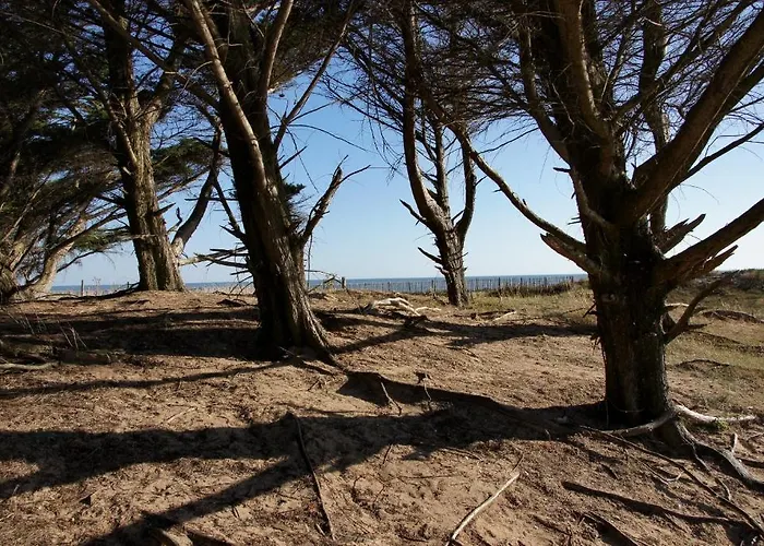 Camping La Foret Saint-Jean-de-Monts